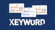 What is "Keyword Cannibalization"?