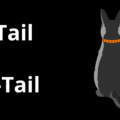 long-tail vs short-tail text next to 2 dogs sitting