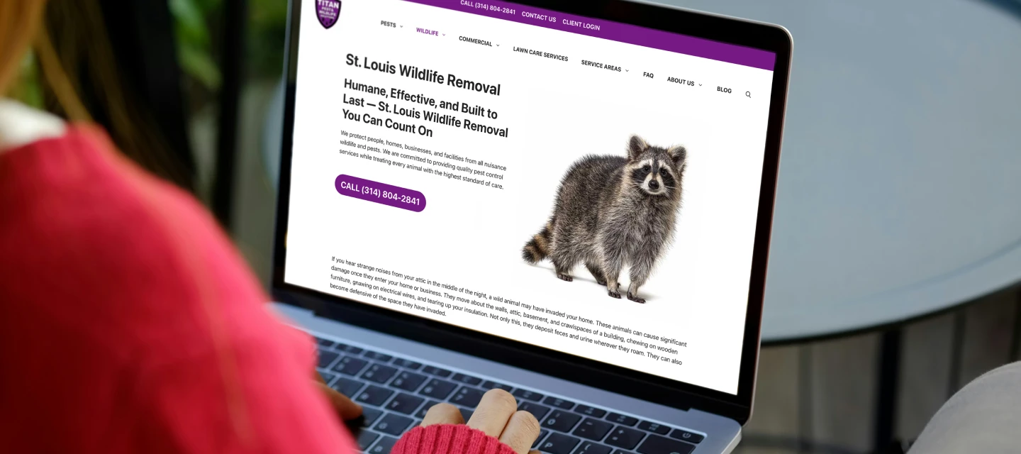 Laptop showing a wildlife removal service page with raccoon imagery and contact call-to-action