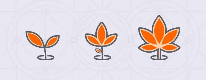 Progression of plant growth: small sprout, medium leaf, and full leafy plant in orange on a pale background.